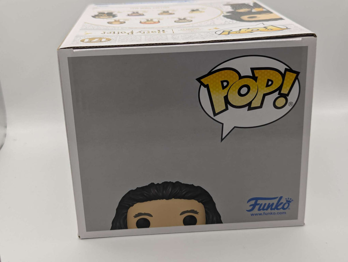 Funko Pop Harry Potter | Rubeus Hagrid (Suit) 6" #171