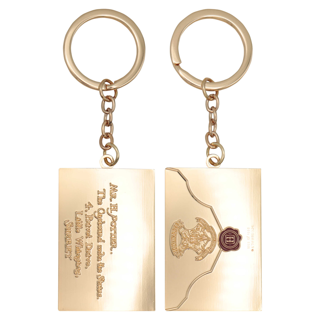 HARRY POTTER LETTER | Limited Edition Keyring