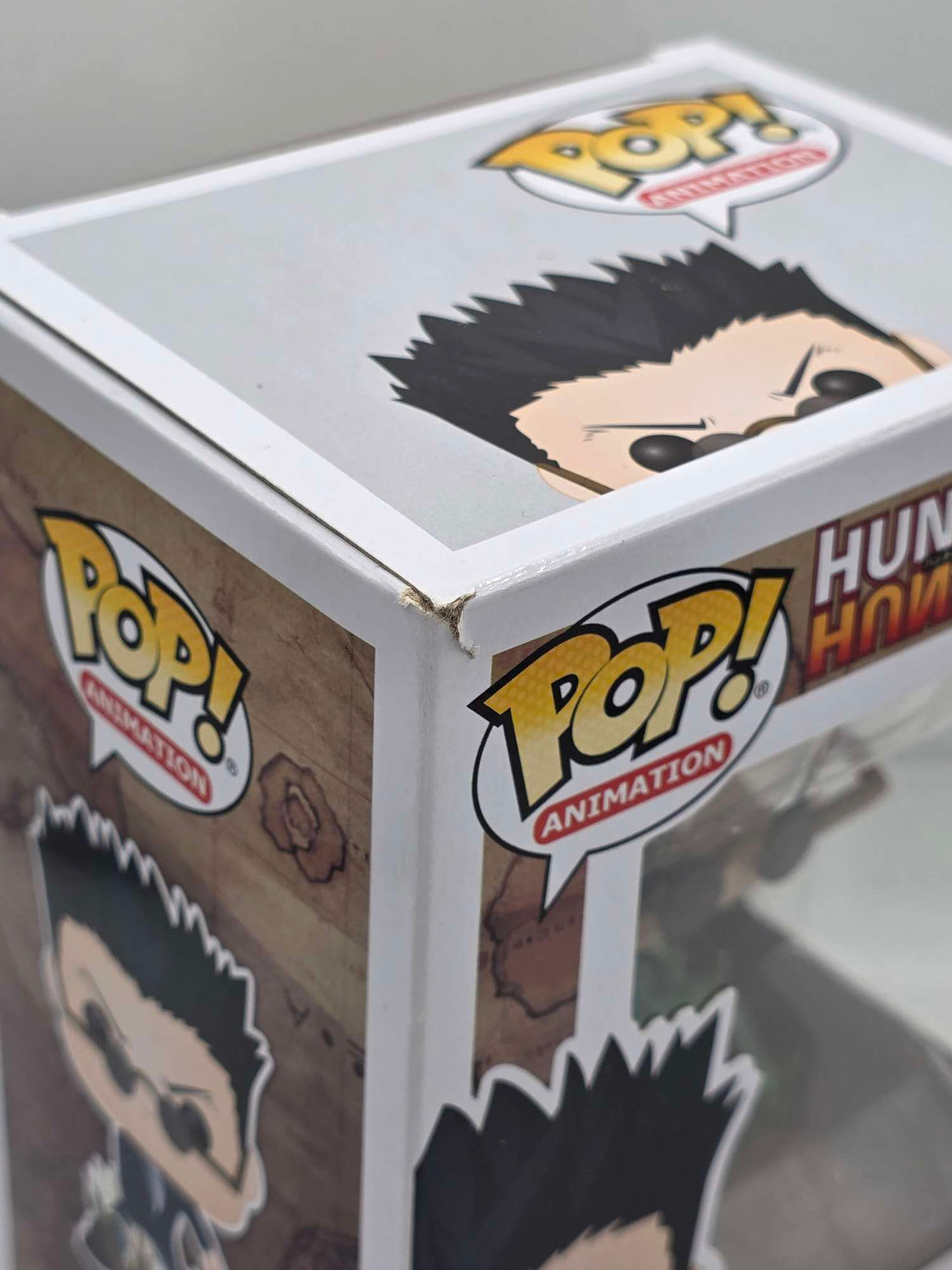 Damaged Box | LEORIO | Funko Pop Animation | Hunter X Hunter #700