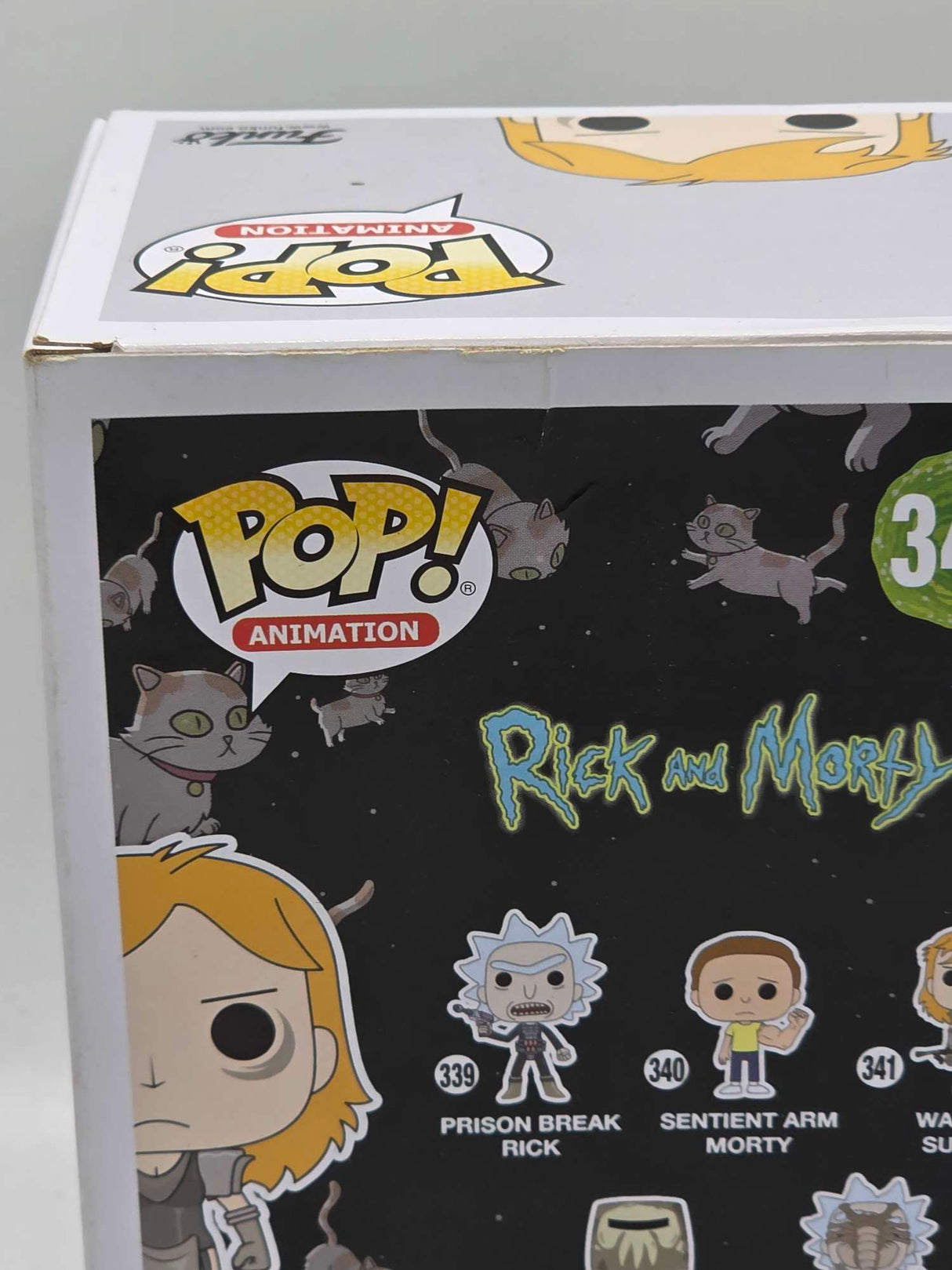 Damaged Box | WARRIOR SUMMER | Rick and Morty | Funko Pop Animation #341