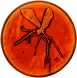 Jurassic Park | Mosquito in Amber Medallion and Pin Set | Limited Edition