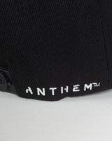 Bioware EA Anthem Snapback | Baseball Cap