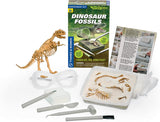 Dinosaur Fossils | Learn how Fossils are made