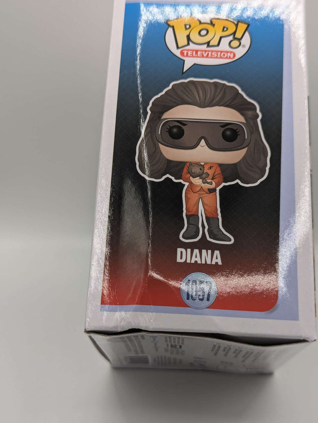 Damaged Box | Diana with rodent | V | Funko Pop Television  #1057