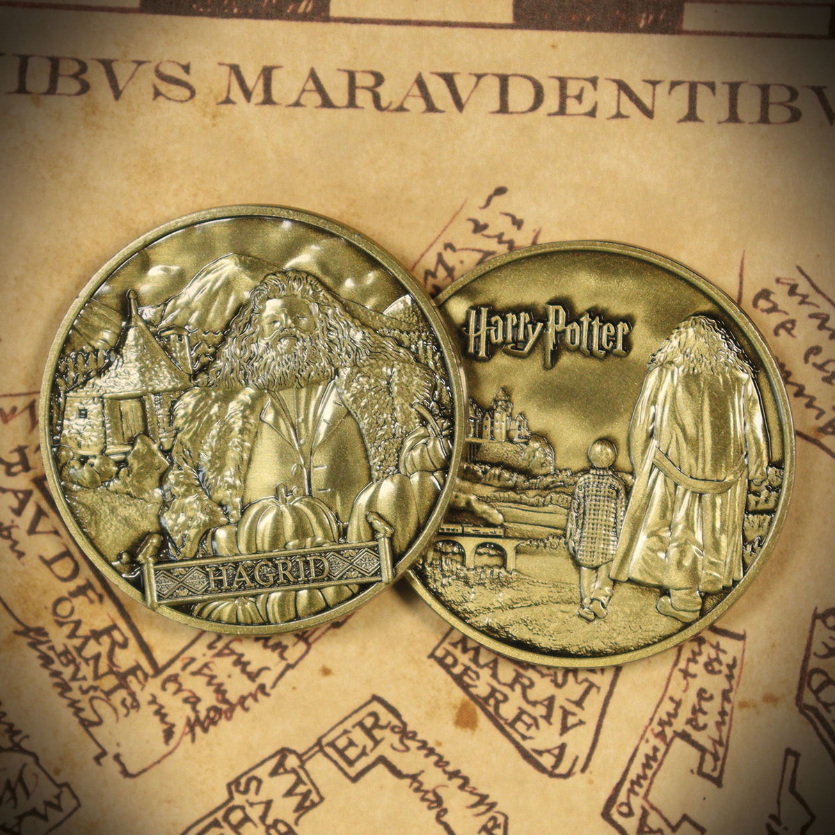 Fanattik Harry Potter: RUBEUS HAGRID Limited Edition Embossed Collectable Coin