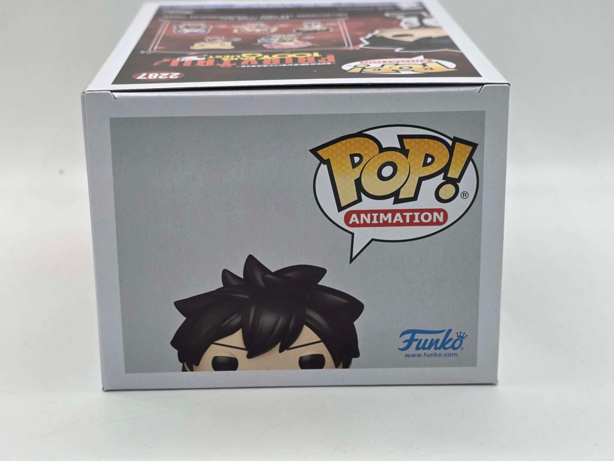 GRAY | Fairy Tail: 100 Years Quest | Funko Pop! Animation | #2287