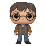 HARRY POTTER (WITH TWO WANDS) | Funko Pop Harry Potter #118