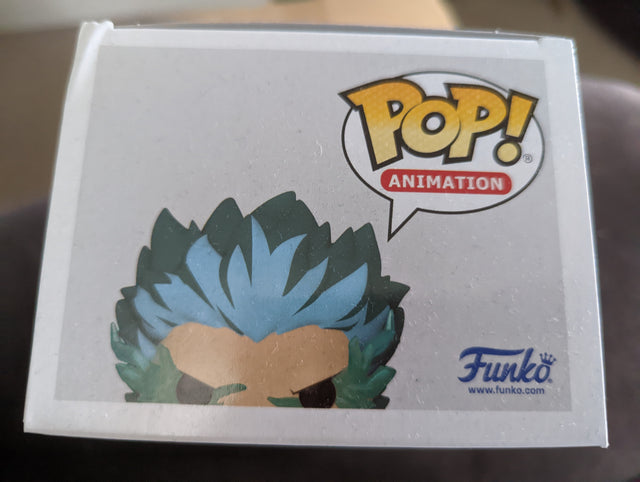 Damaged Box Funko Pop Animation - My Hero Academia - Infinite Deku with Eri #1008 (6980372037732)