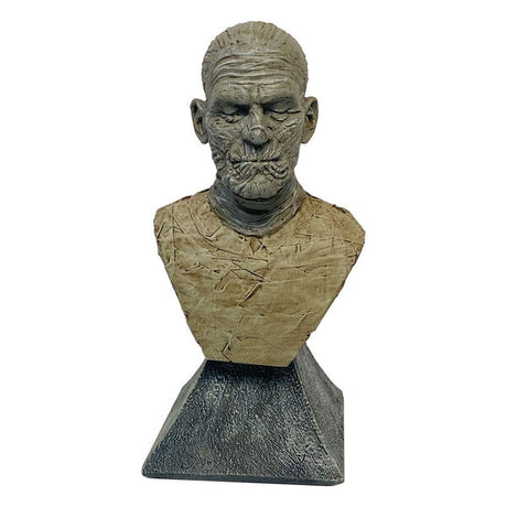 Universal Monsters mini bust - The Mummy 15 cm (6955535302756)